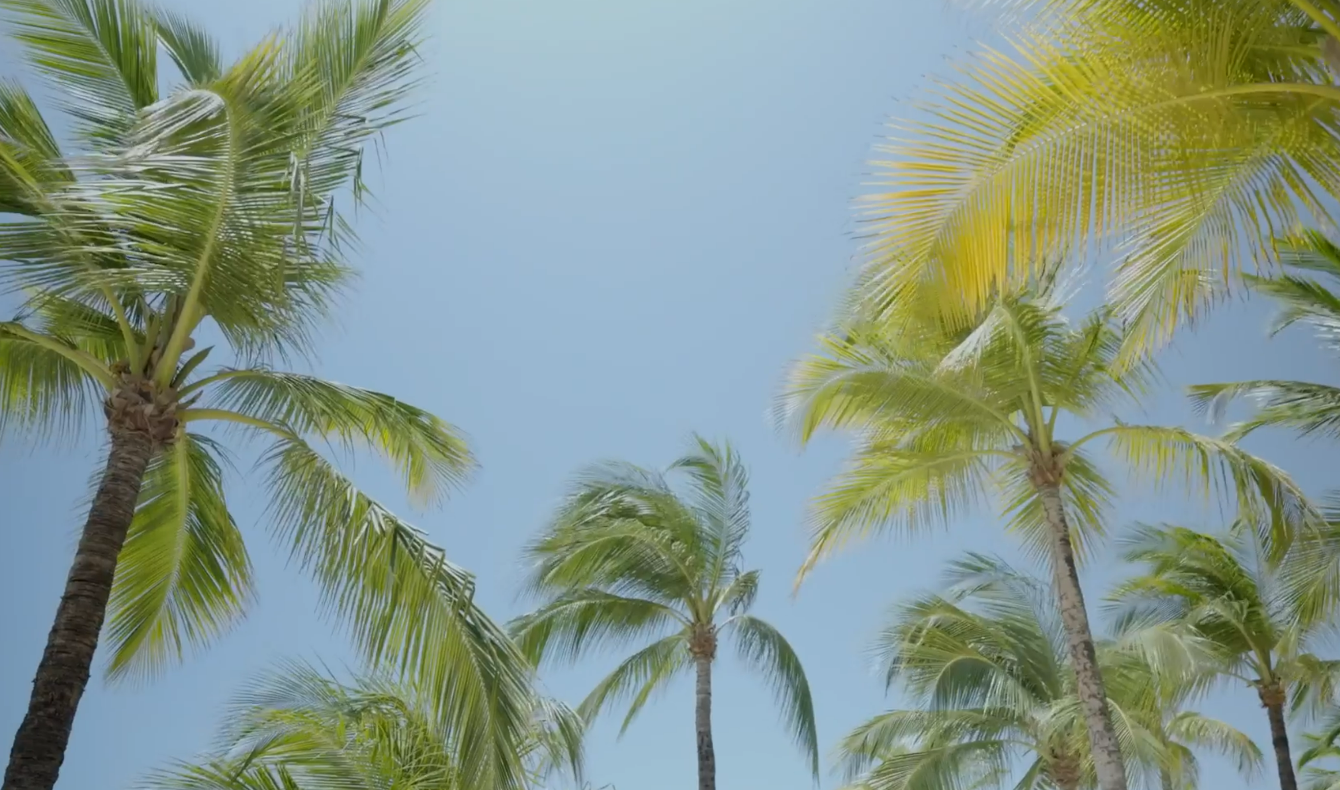Barceló Aruba