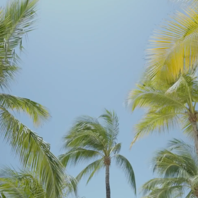 Barceló Aruba