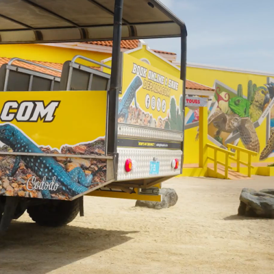 De Palm Tours