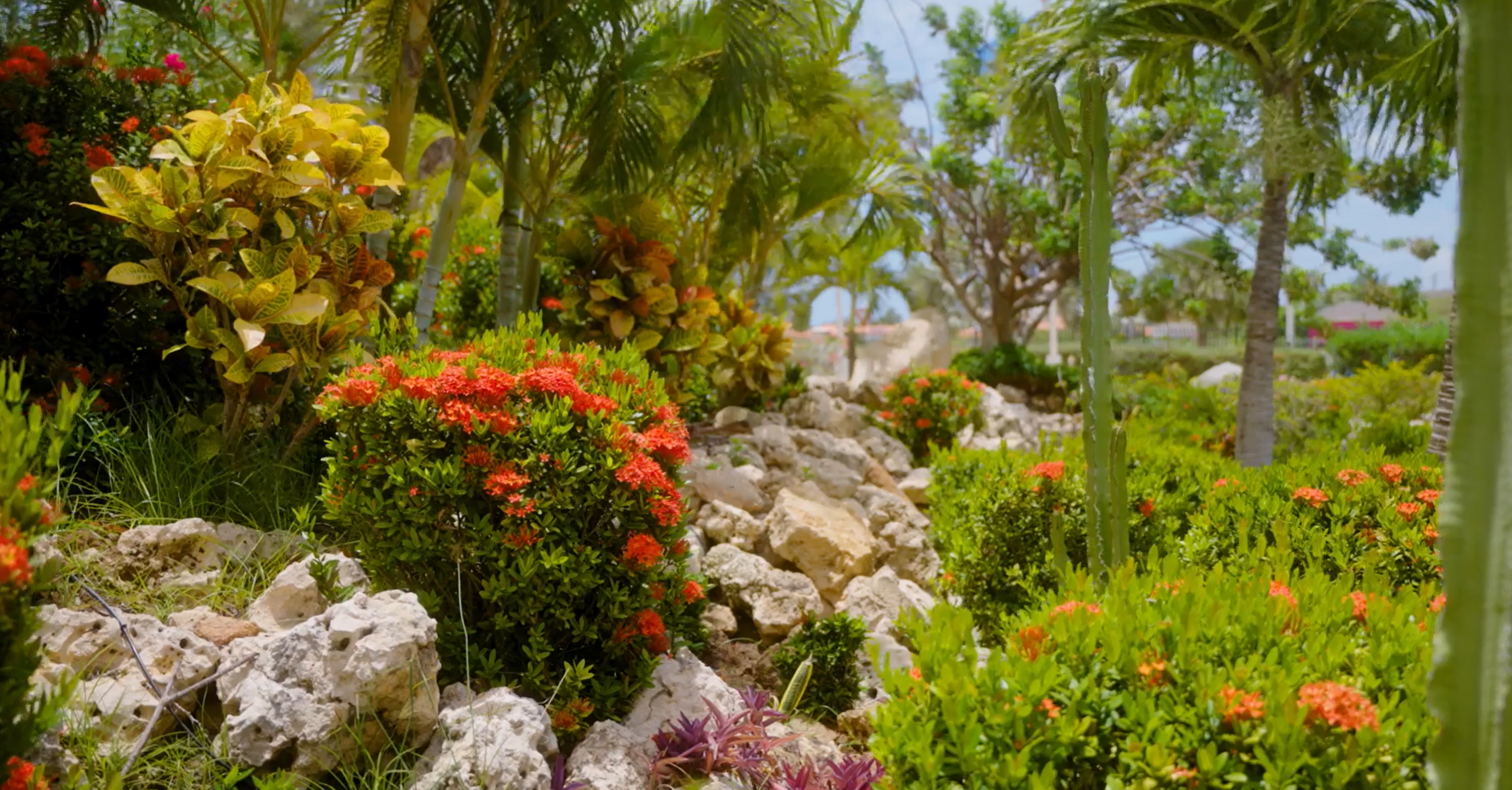 The Ritz-Carlton, Aruba