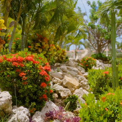 The Ritz-Carlton, Aruba